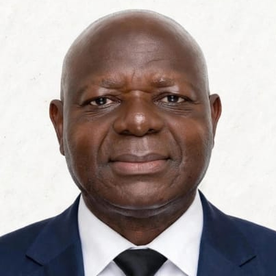 Prof. Dr. Michael Nwokolo